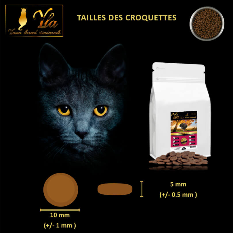 Croquettes sans céréales et sans gluten ajouté pour chat à la dinde